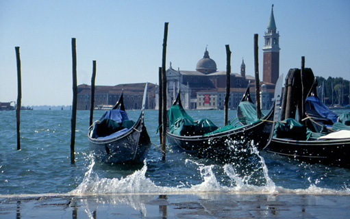 Slideshow Image 6