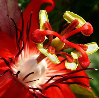 Slideshow Image 7